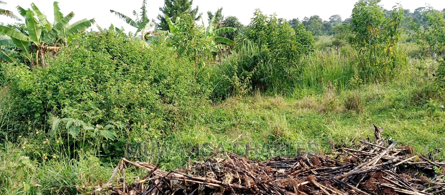 3.5acres for Sale in Janda in Kampala
