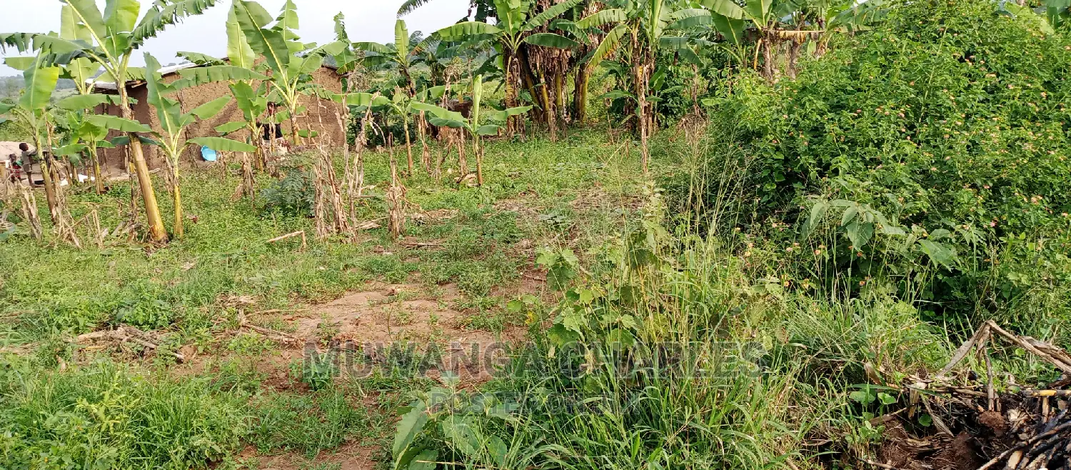 3.5acres for Sale in Janda in Kampala