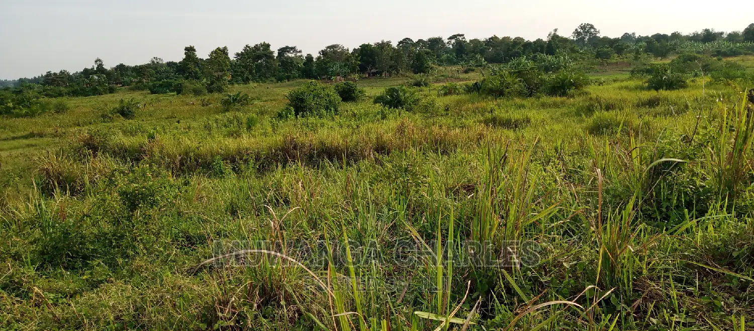 3.5acres for Sale in Janda in Kampala