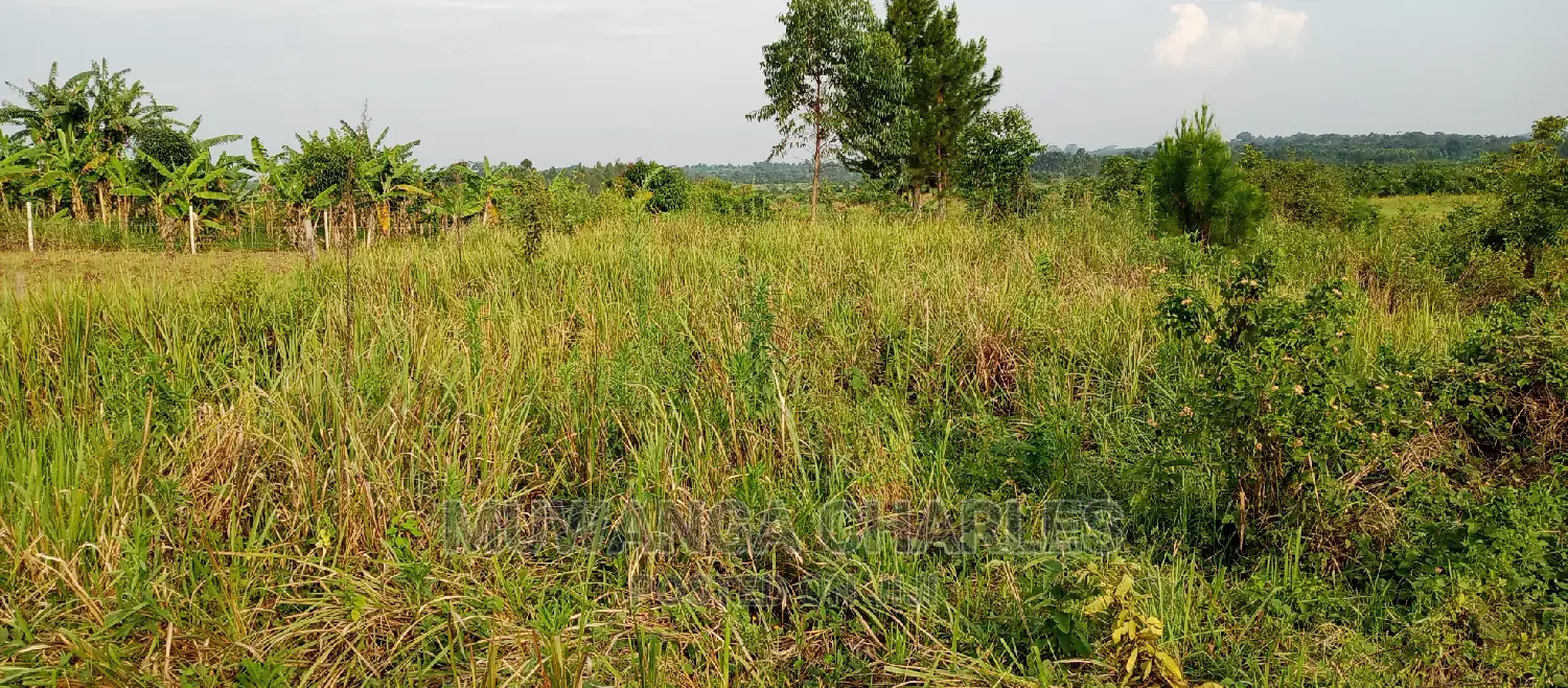 3.5acres for Sale in Janda in Kampala