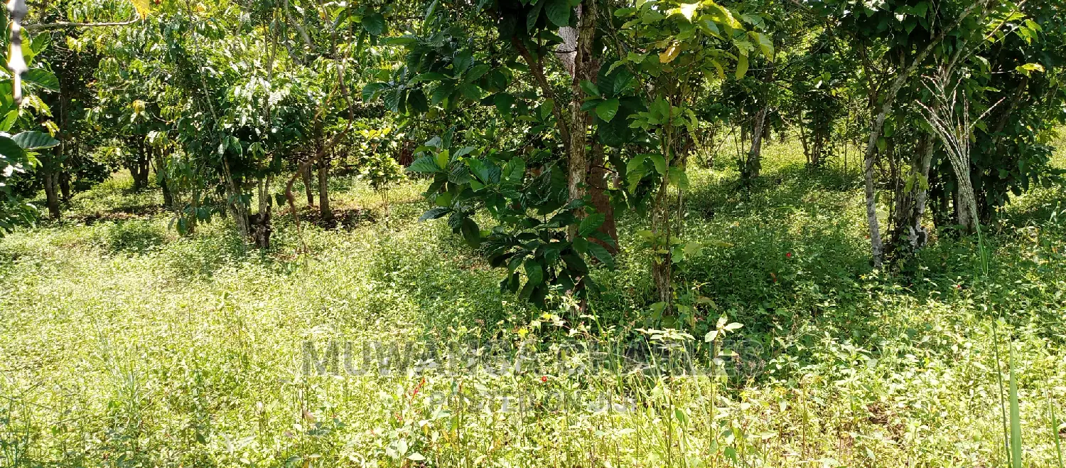 2.5acres for Sale in Janda in Central Division