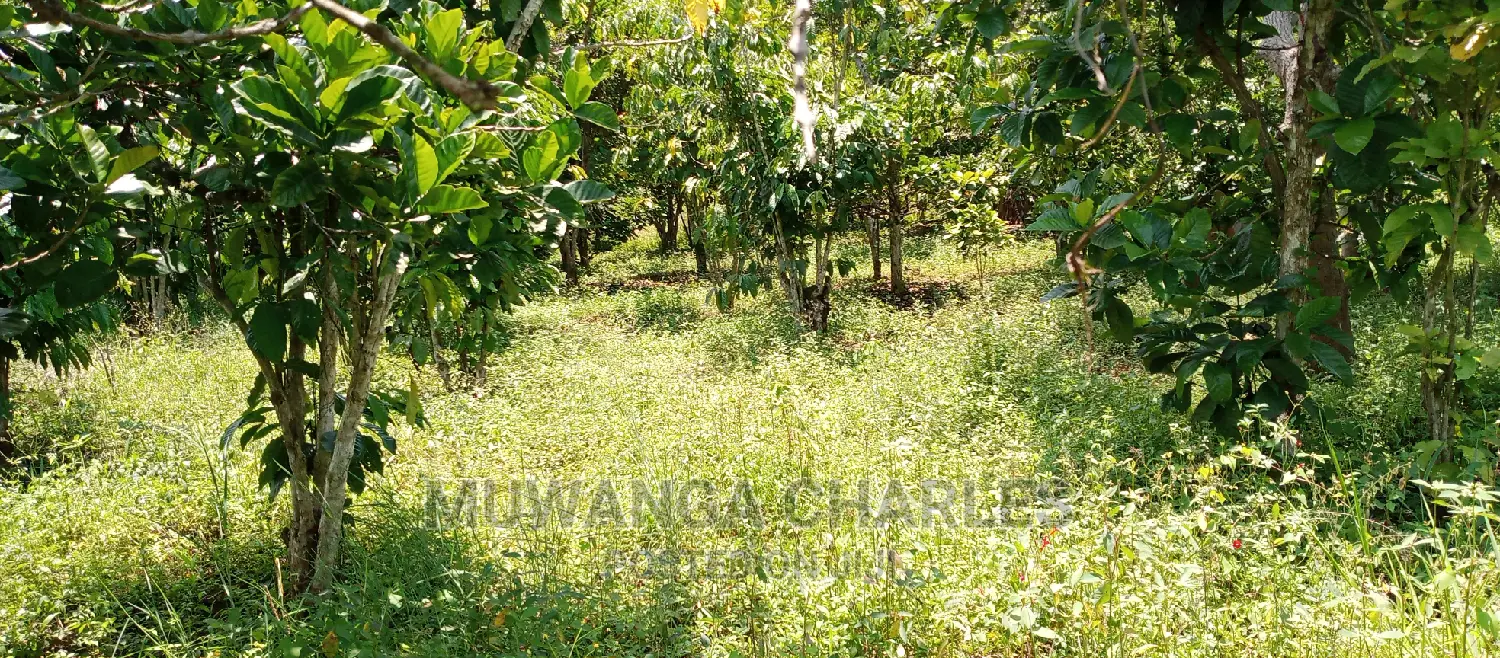2.5acres for Sale in Janda in Central Division
