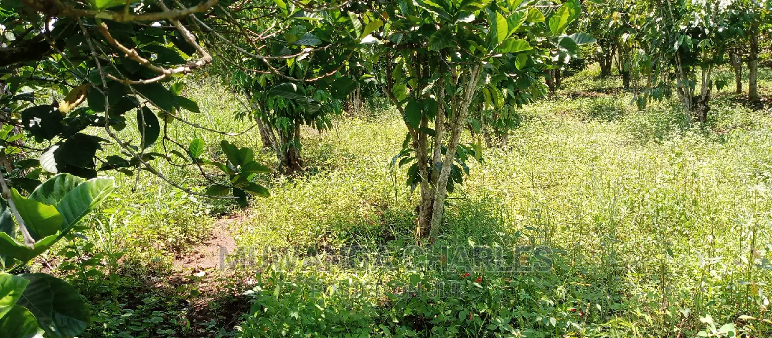 2.5acres for Sale in Janda in Central Division