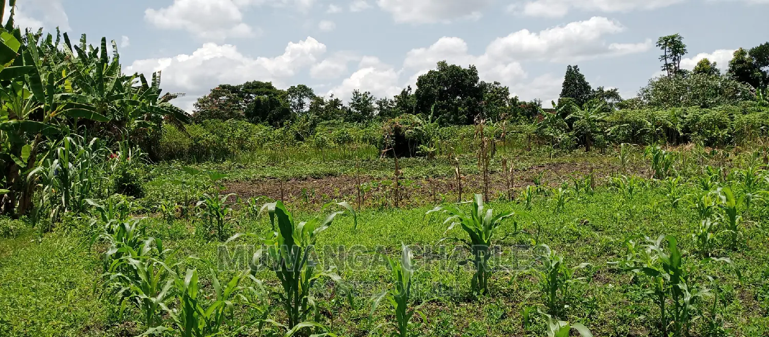 2.5acres for Sale in Janda in Central Division