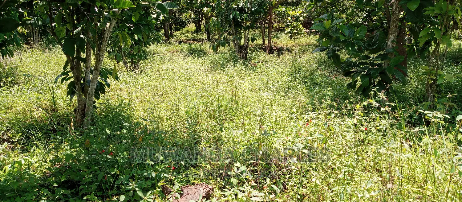 2.5acres for Sale in Janda in Central Division