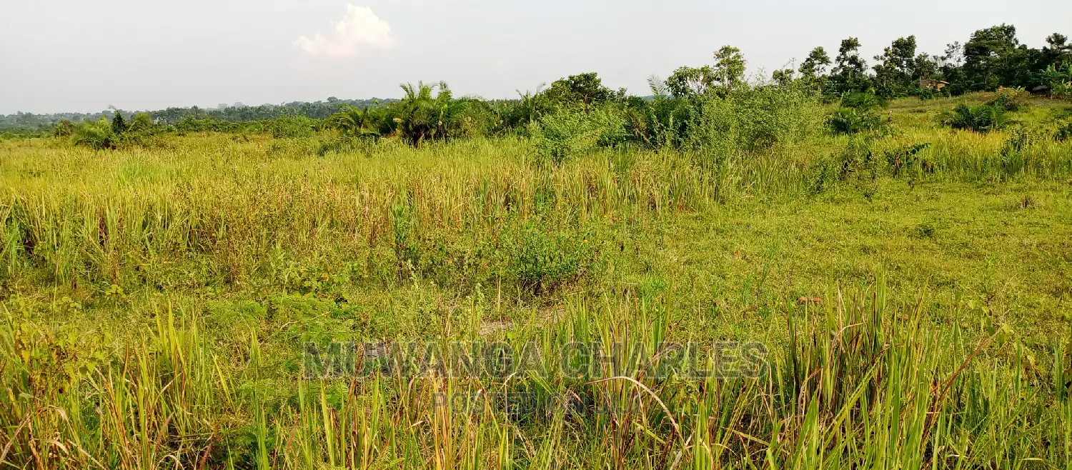 100acres for Sale in Zirobwe in Central Division
