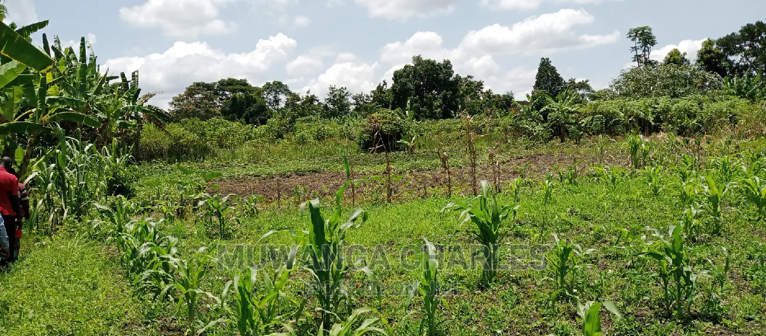 Land on Sale in Zirobwe in Central Division