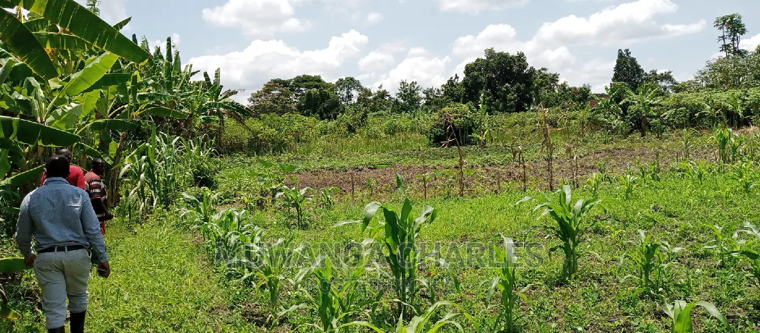Land on Sale in Zirobwe in Central Division