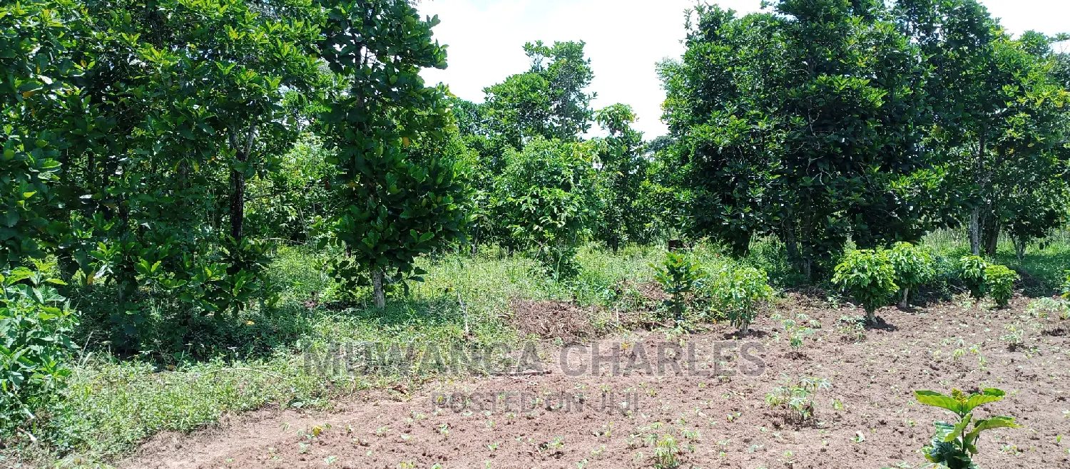 Land on Sale in Zirobwe in Central Division