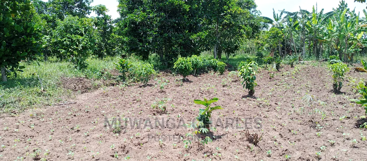 Land on Sale in Zirobwe in Central Division