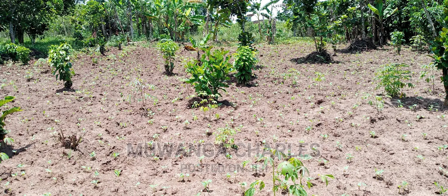 Land on Sale in Zirobwe in Central Division