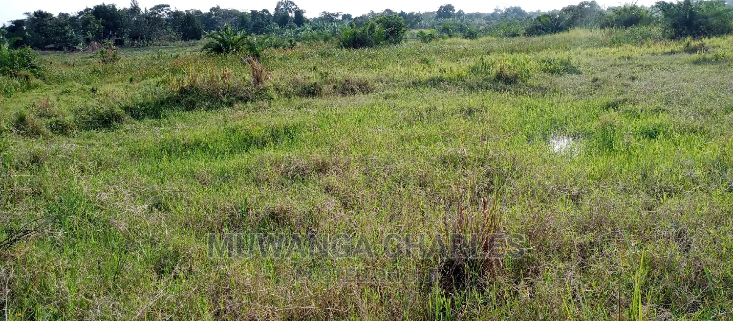 3.5acre's of Land for Sale in Zirobwe in Central Division