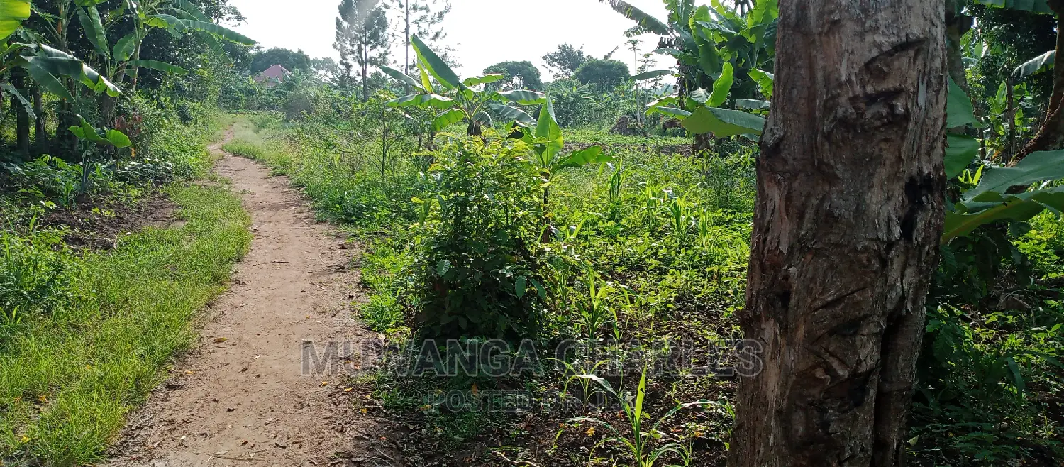 10acres of Land for Sale in Kikyusa in Central Division