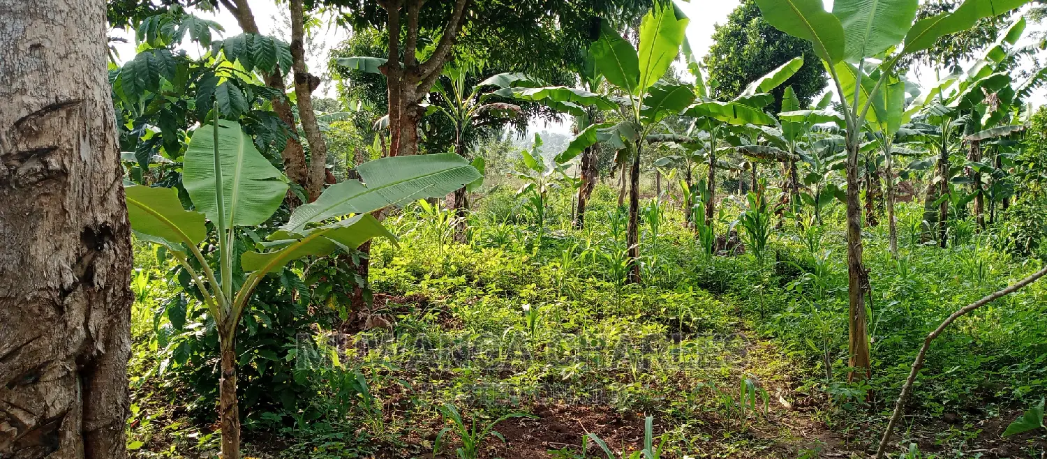 10acres of Land for Sale in Kikyusa in Central Division