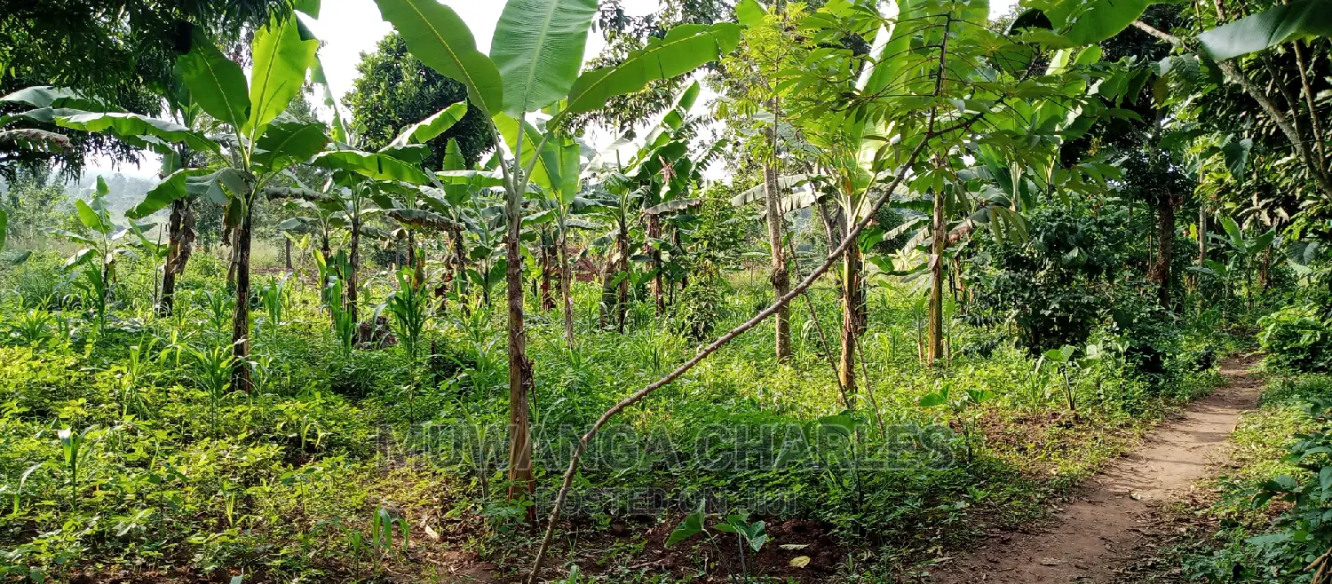 10acres of Land for Sale in Kikyusa in Central Division