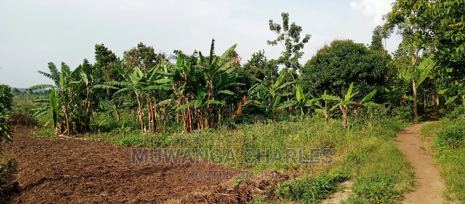 10acres of Land for Sale in Kikyusa in Central Division