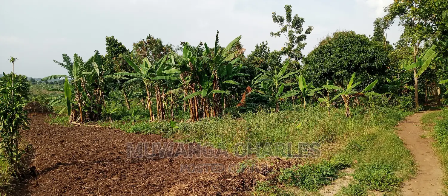 10acres of Land for Sale in Kikyusa in Central Division