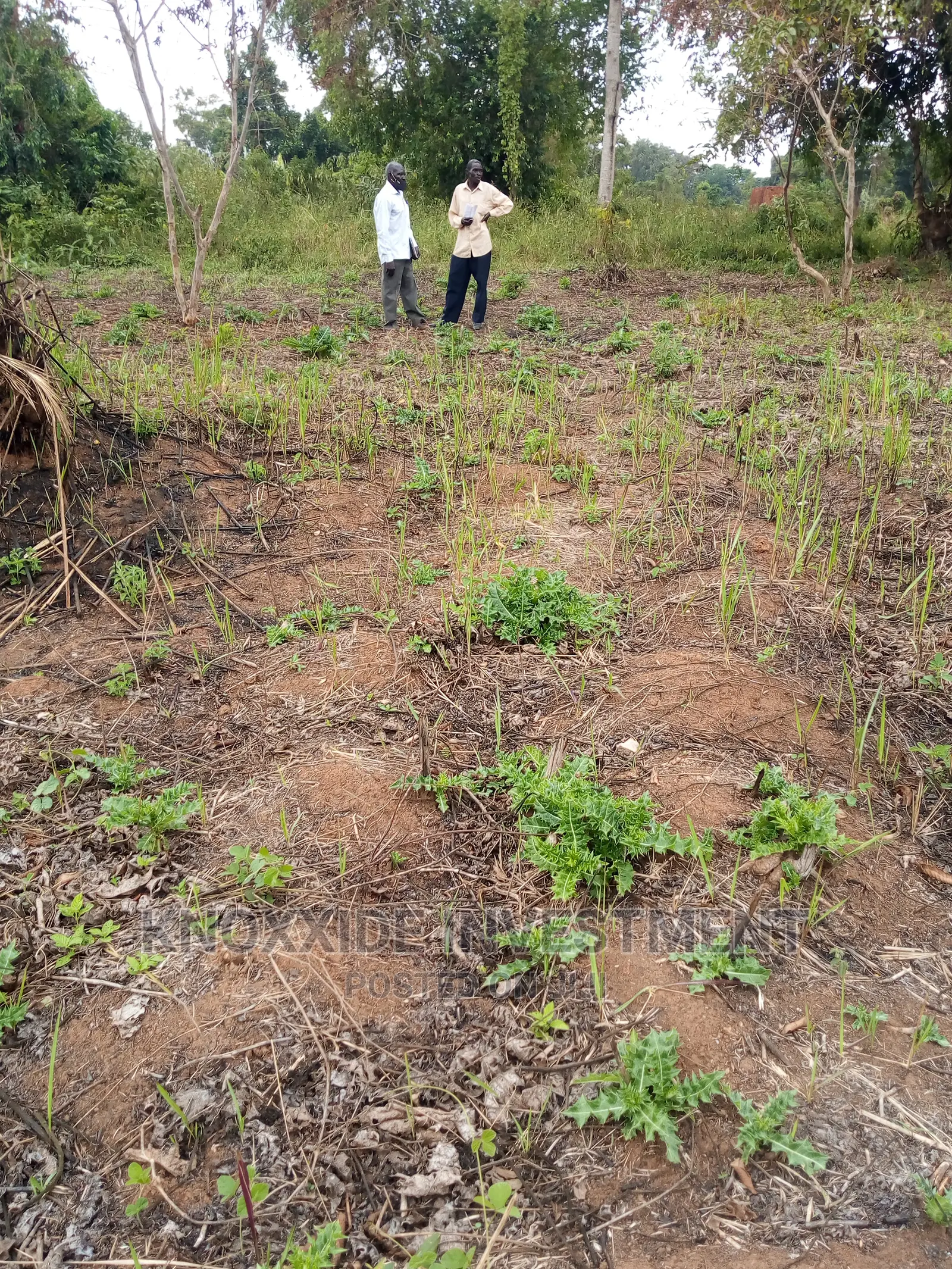 Plot for Sale 100x50ft at 7.5m Ugx Kakiri Masurita in Central Division
