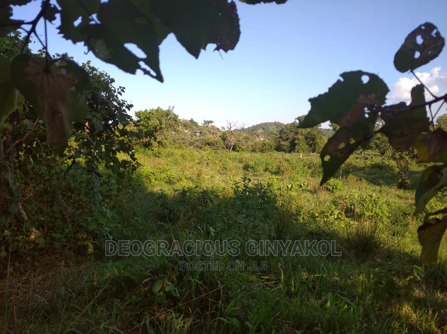 10,000acres of Land for Cattle Grazing Both for Sale/Rental in Gulu