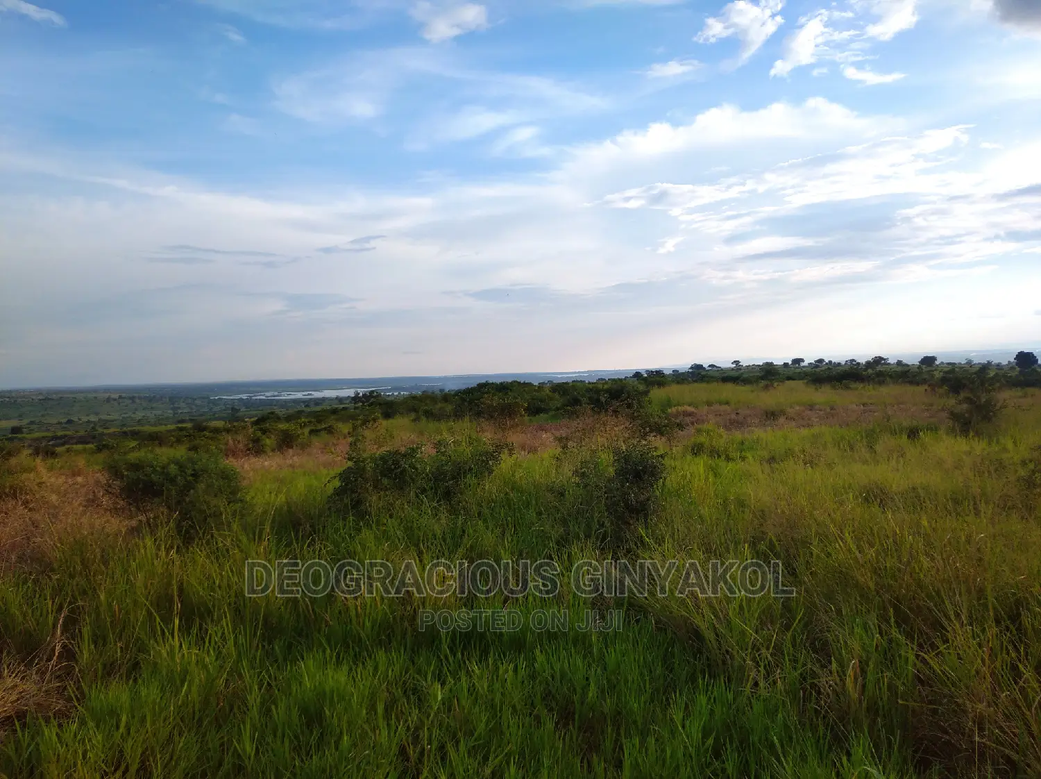 10,000acres of Land for Cattle Grazing Both for Sale/Rental in Gulu