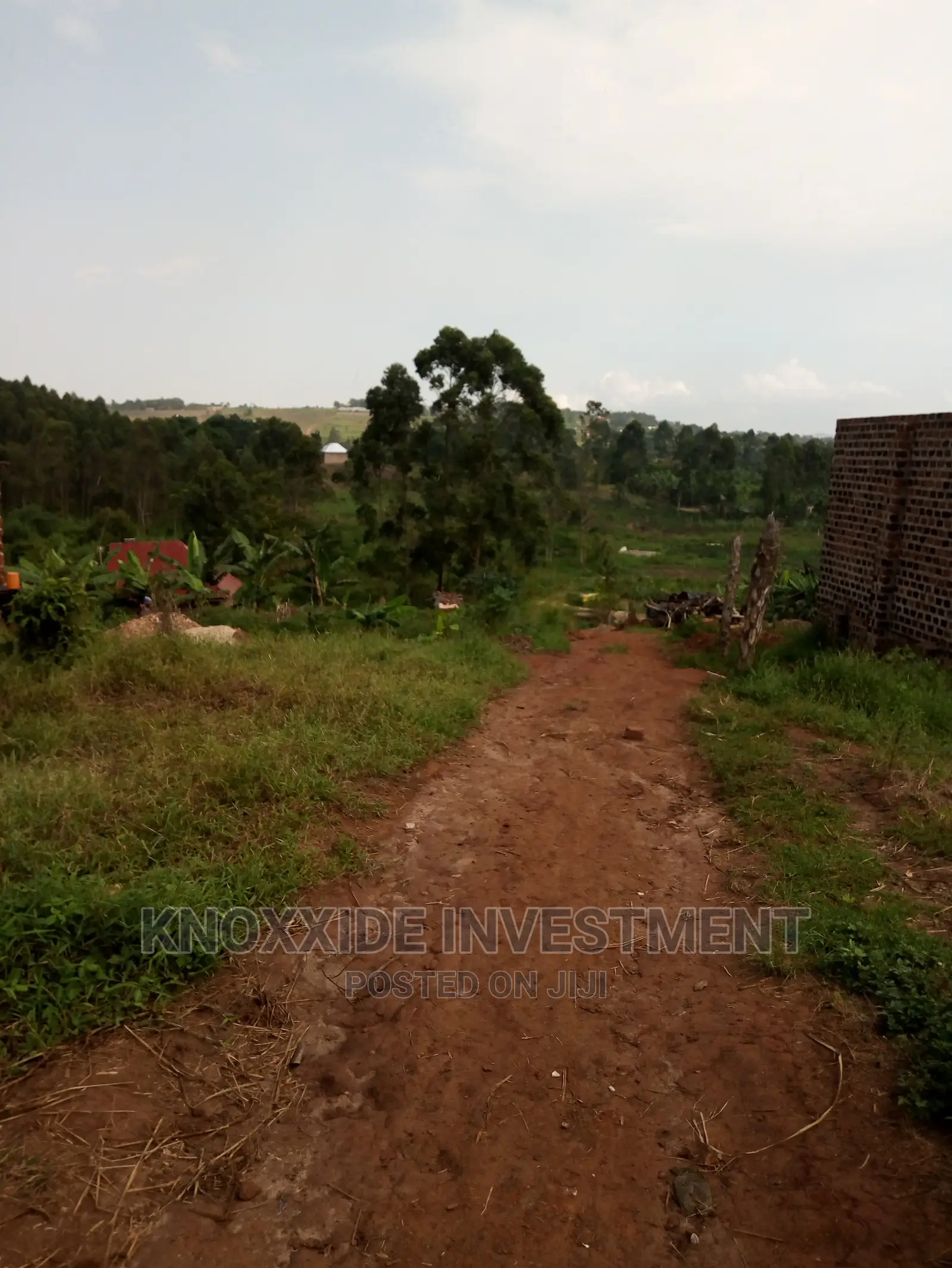 Plot for Sale 100x40ft at 17m Ugx Setema Town in Central Division