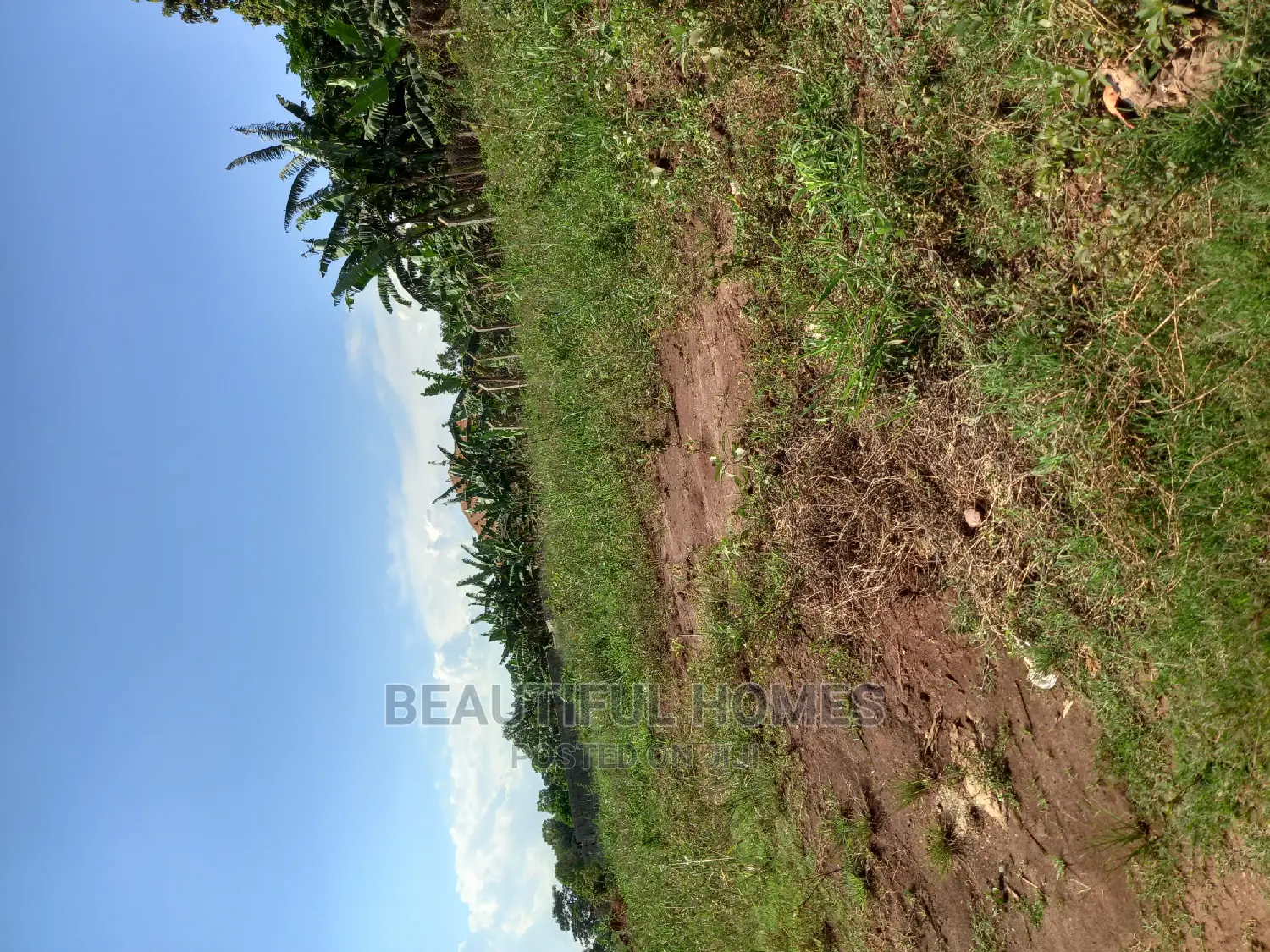 Nakwero Plots on Sell in Kira