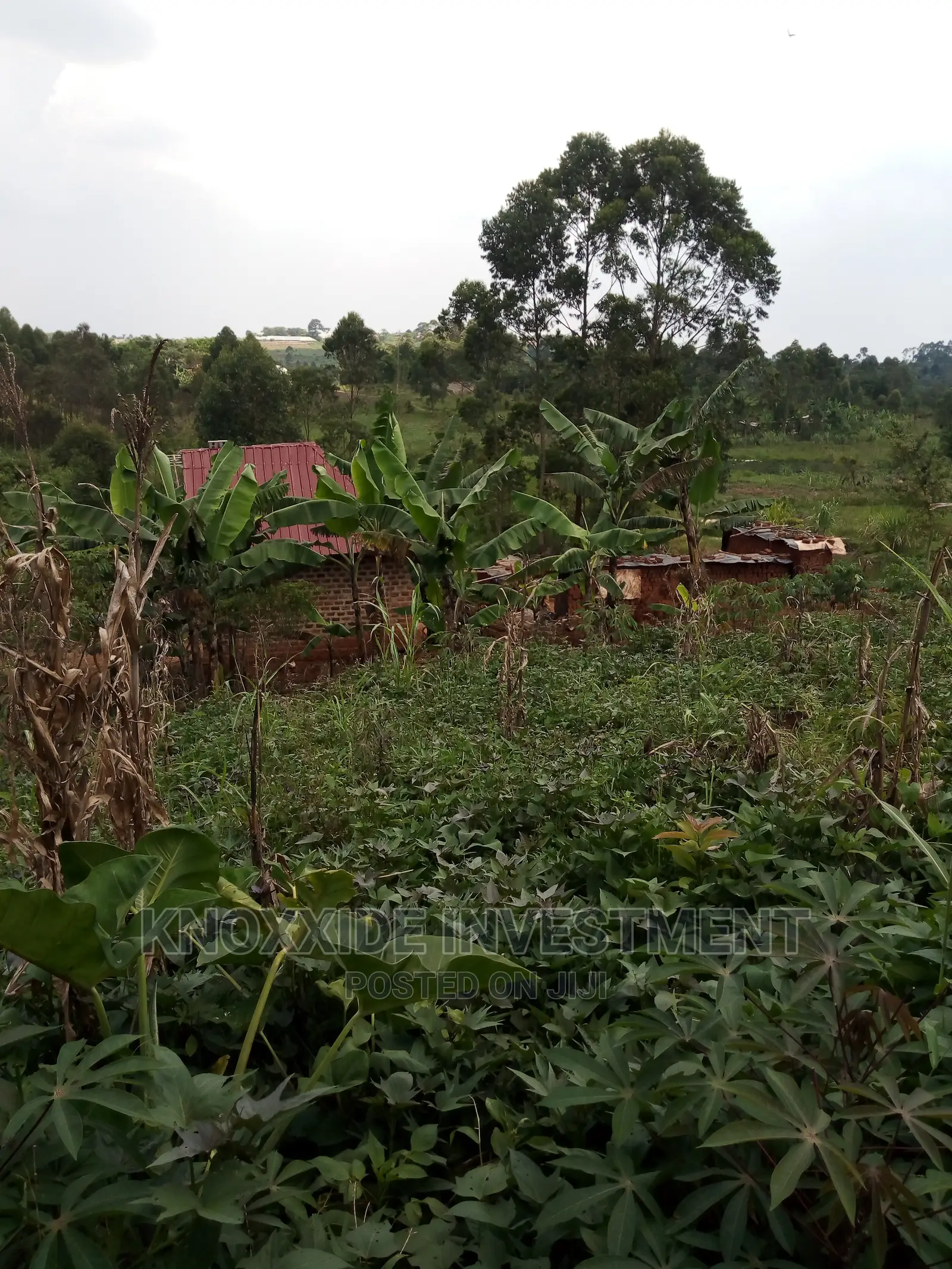 Plot for 50x30ft Kikungi Town Kakiri in Kakiri