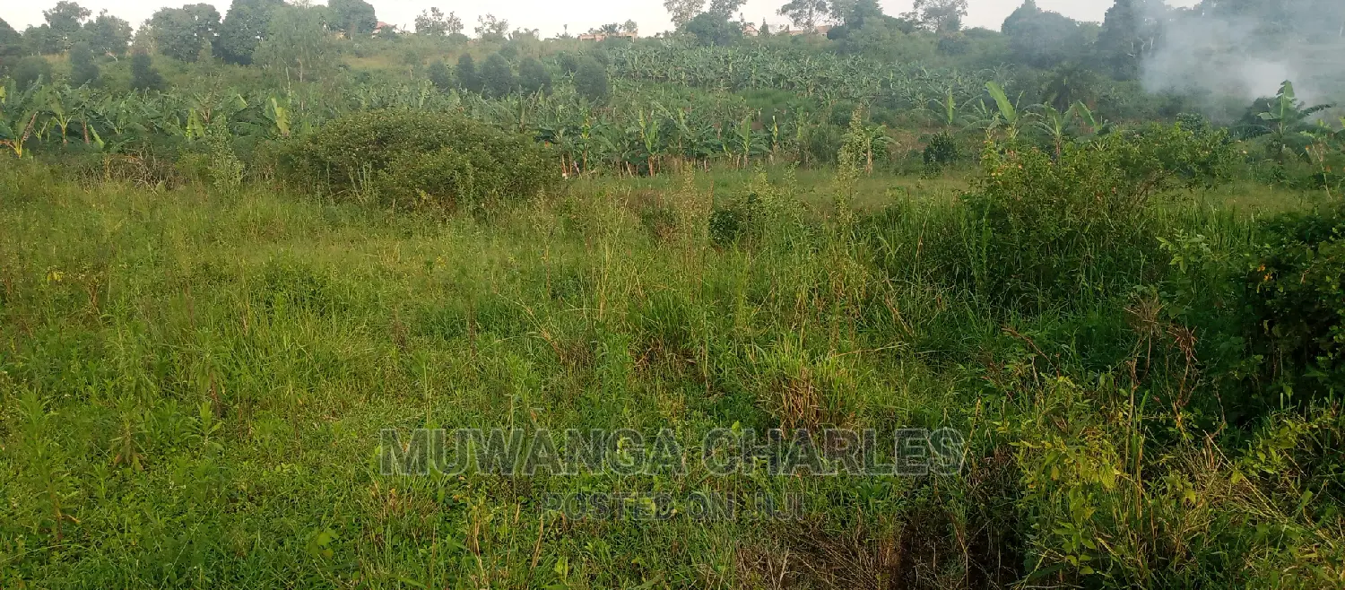 Plot Is for Sale in Bugema in Central Division