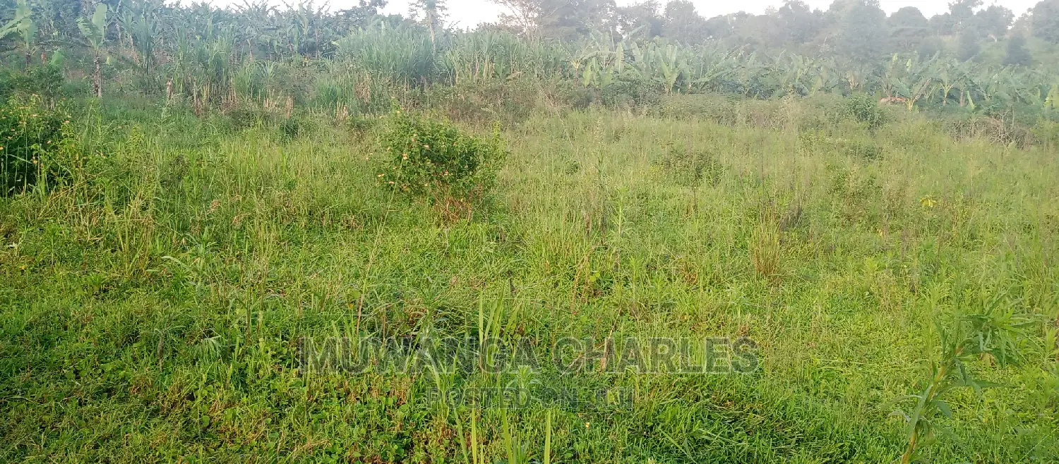 Plot Is for Sale in Bugema in Central Division