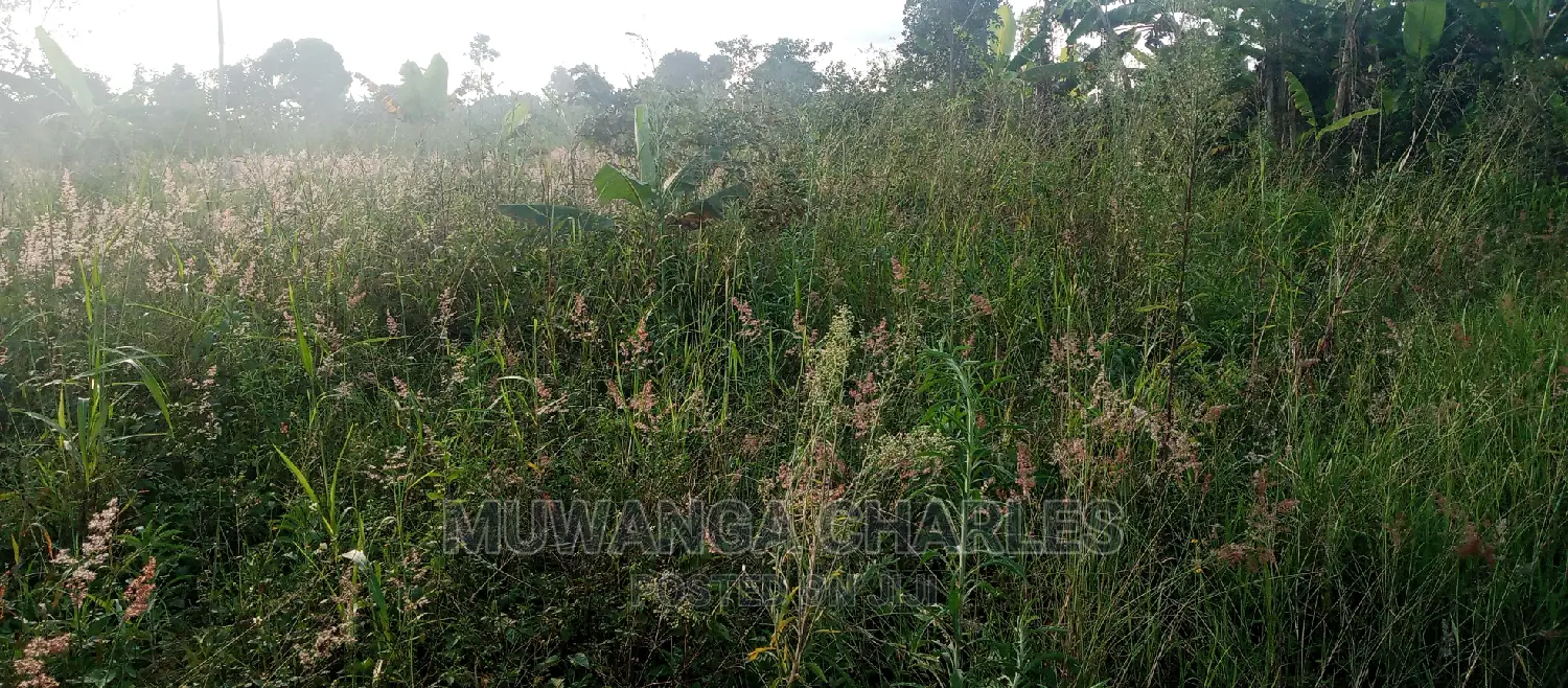 Plot Is for Sale in Bugema in Central Division