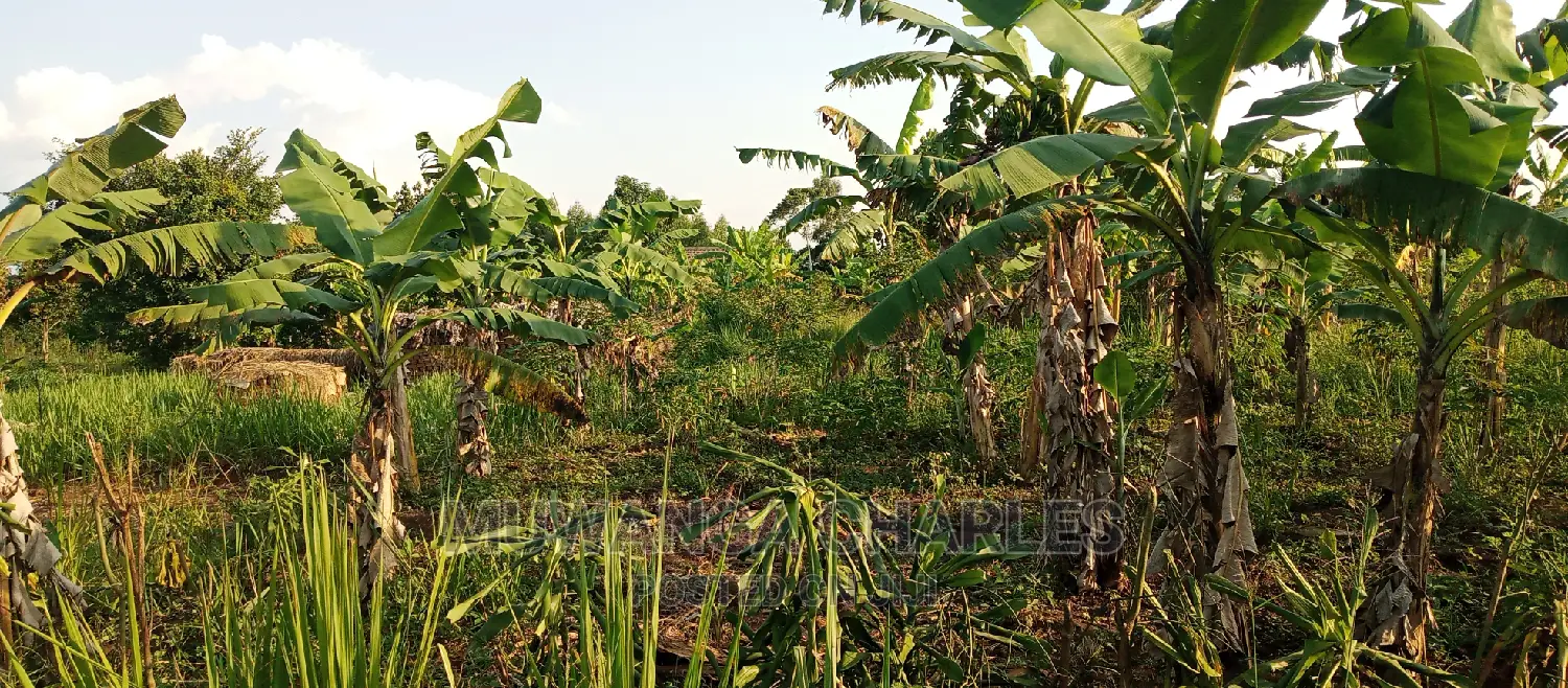 Land on Sale in Bugema in Central Division