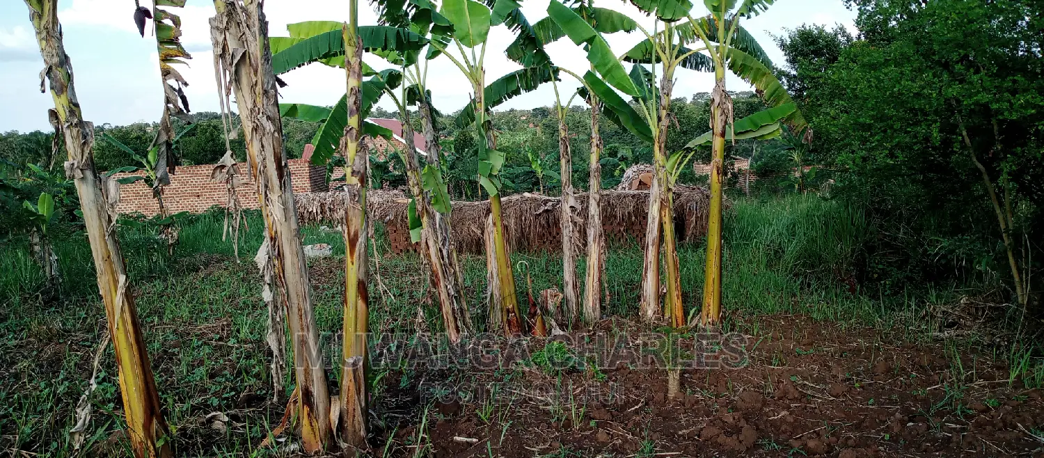 Land on Sale in Bugema in Central Division