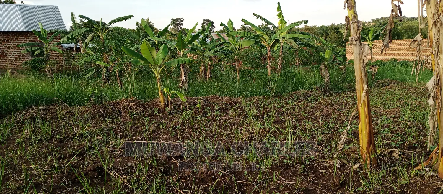 Land on Sale in Bugema in Central Division