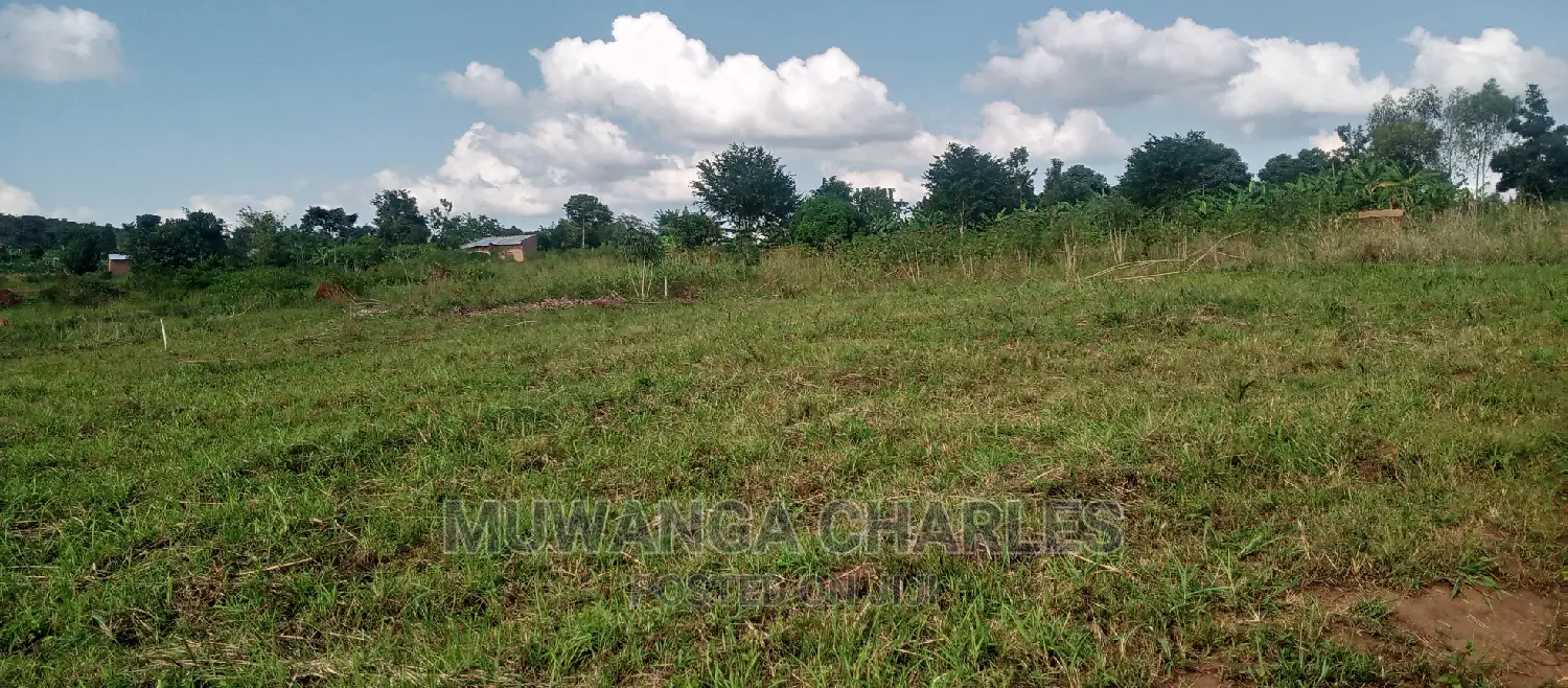 Plot Is for Sale in Busika in Central Division