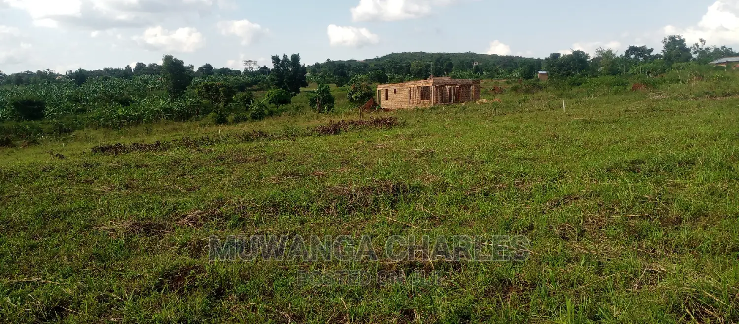Plot Is for Sale in Busika in Central Division