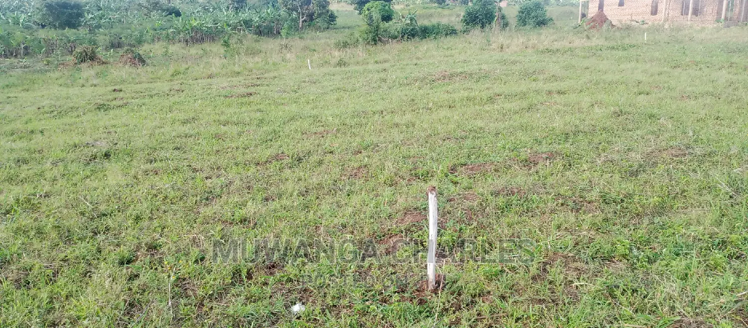 Plots Is for Sale in Busika in Central Division