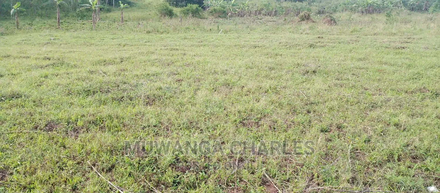 Plots Is for Sale in Busika in Central Division