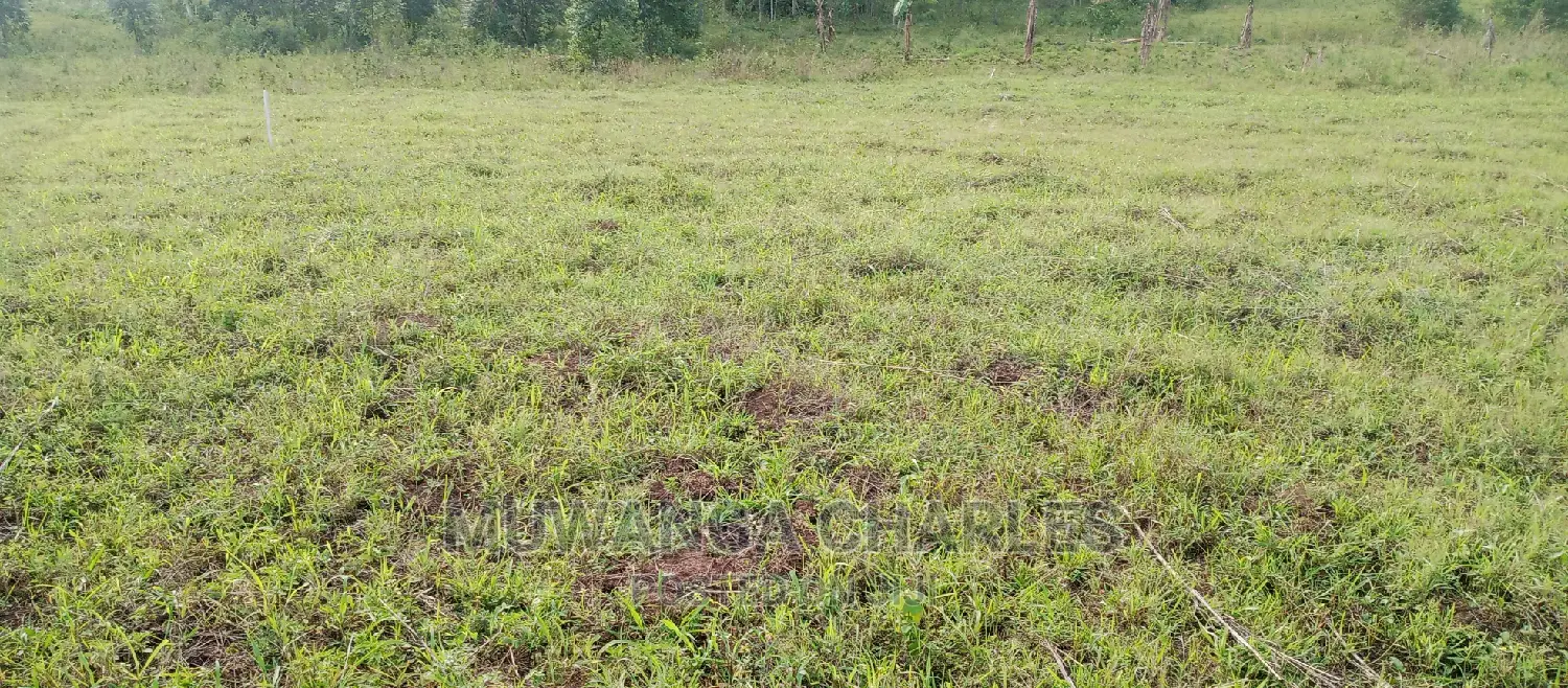 Plots Is for Sale in Busika in Central Division