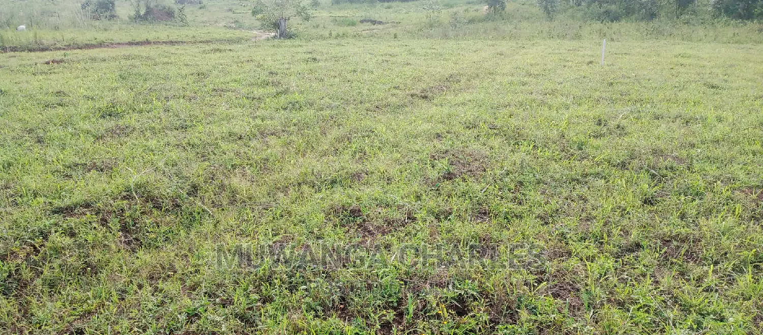 Plots Is for Sale in Busika in Central Division
