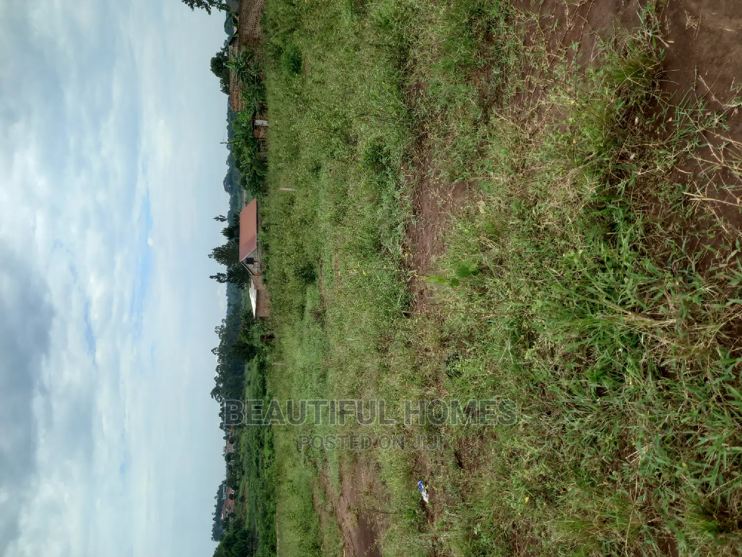 Kira Two First Class Plots on Sell in Kira