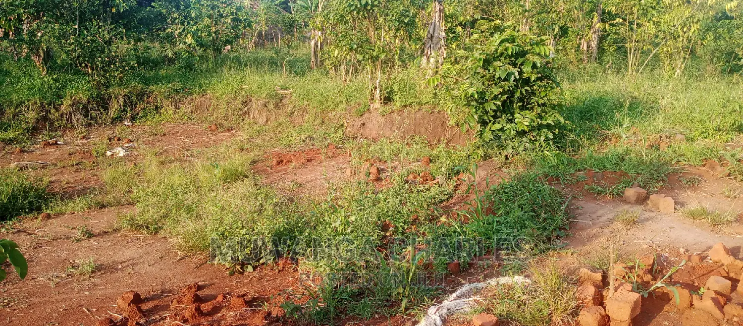 Plots Is Available for Sale in Busika in Central Division