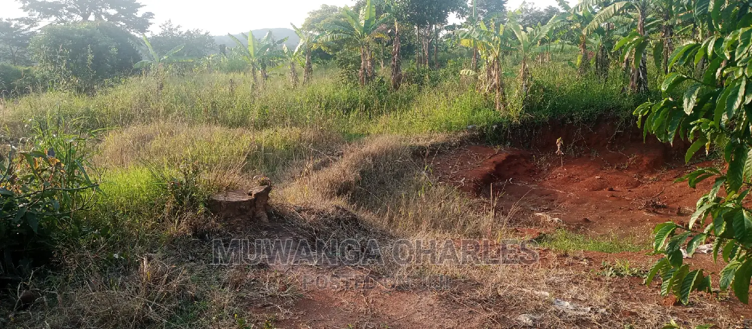 Plots Is Available for Sale in Busika in Central Division
