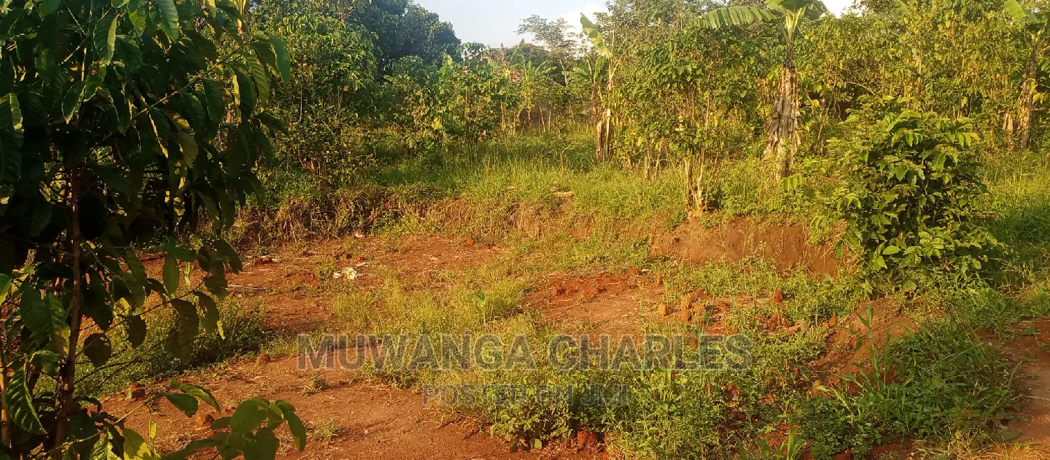 Plots Is Available for Sale in Busika in Central Division