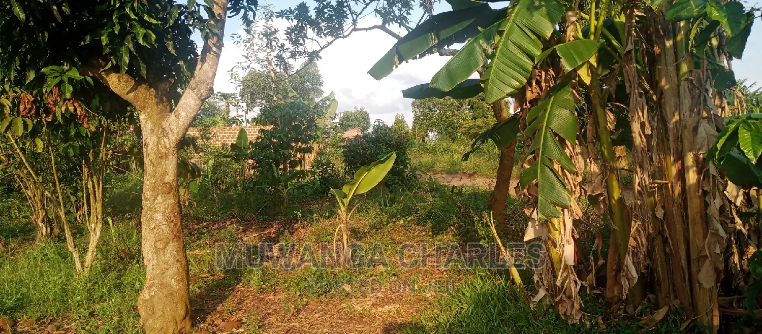Plots Is Available for Sale in Busika in Central Division