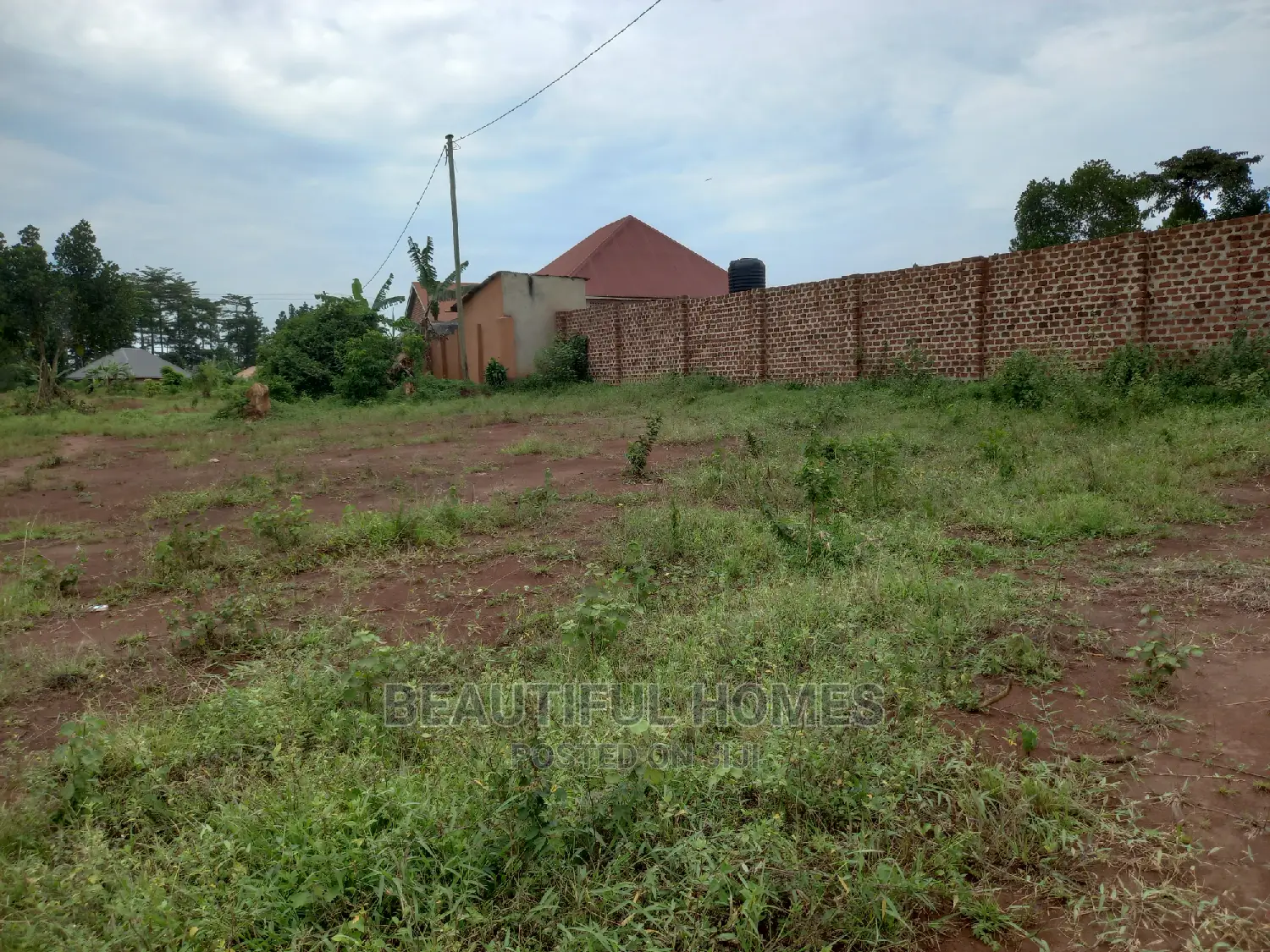 Well Price Plots in Kira on Sell in Kira