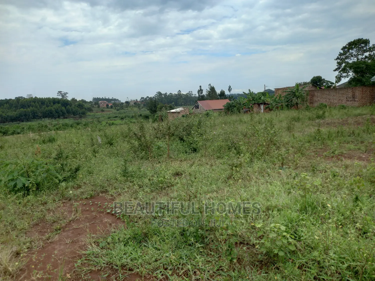 Kira Double Plots on Sell in Kira