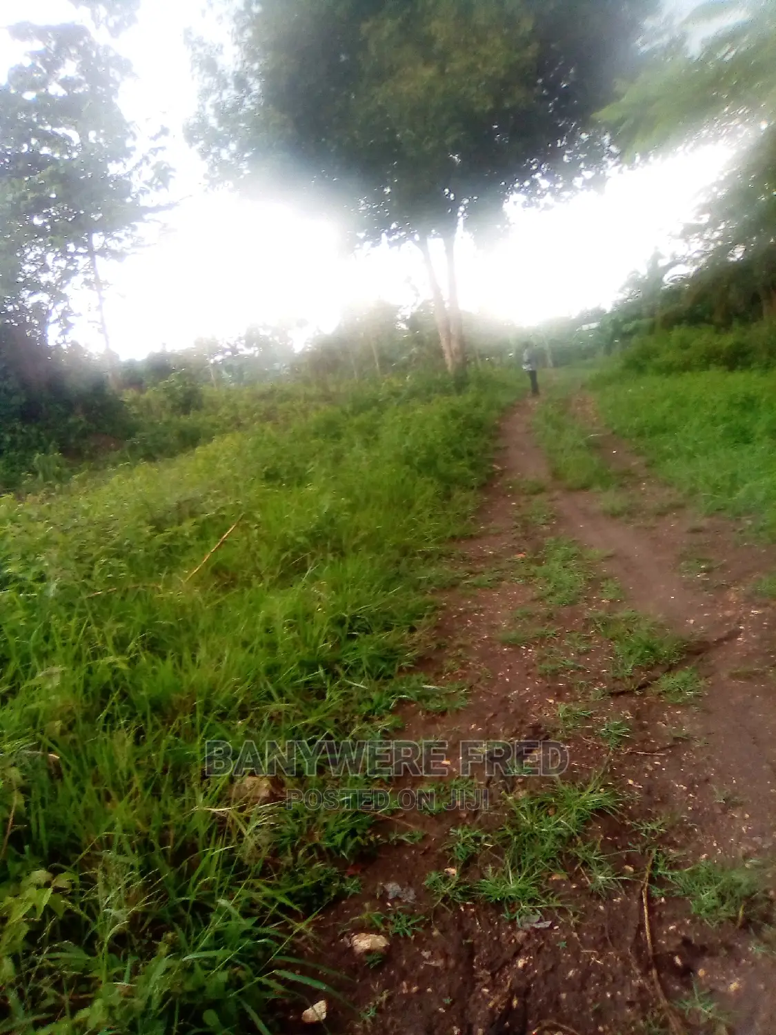 3acres for Sale in Manzi in Gombe
