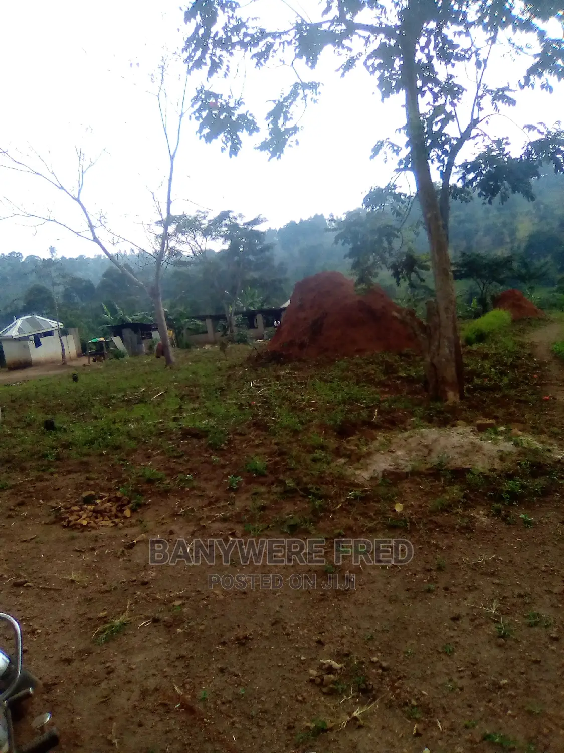 Kilolo Farmland for Sale 9acrea in Gombe