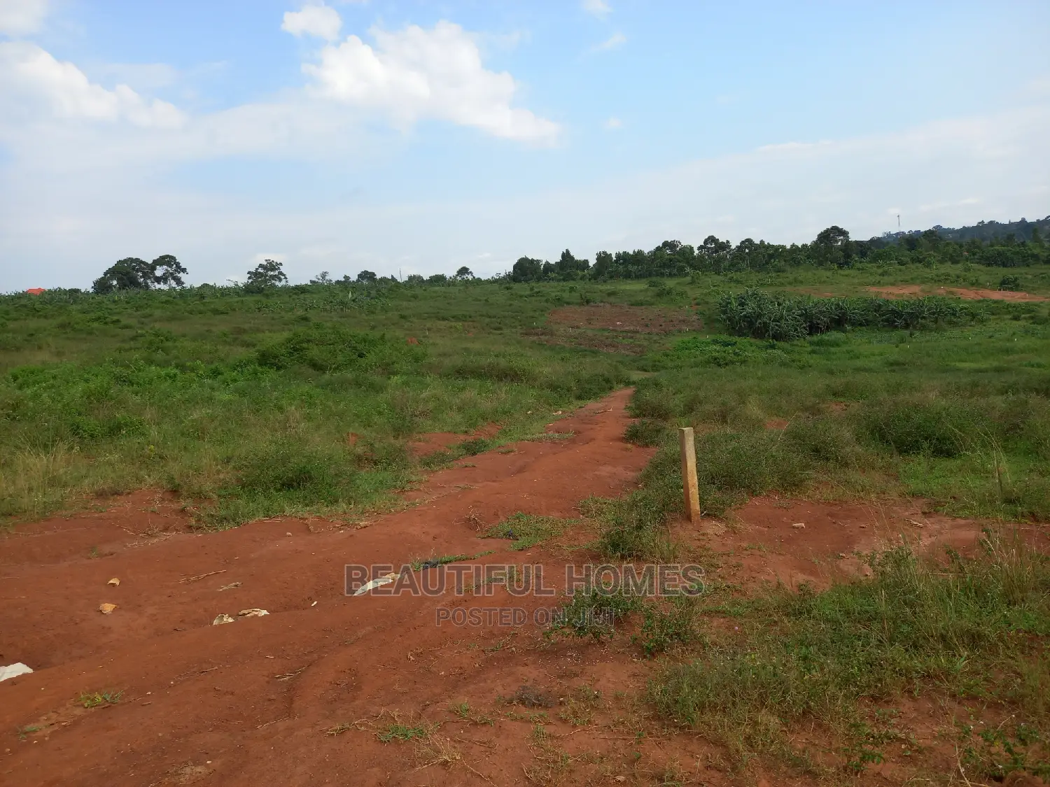 Kira Good Plots on Sell in Kira