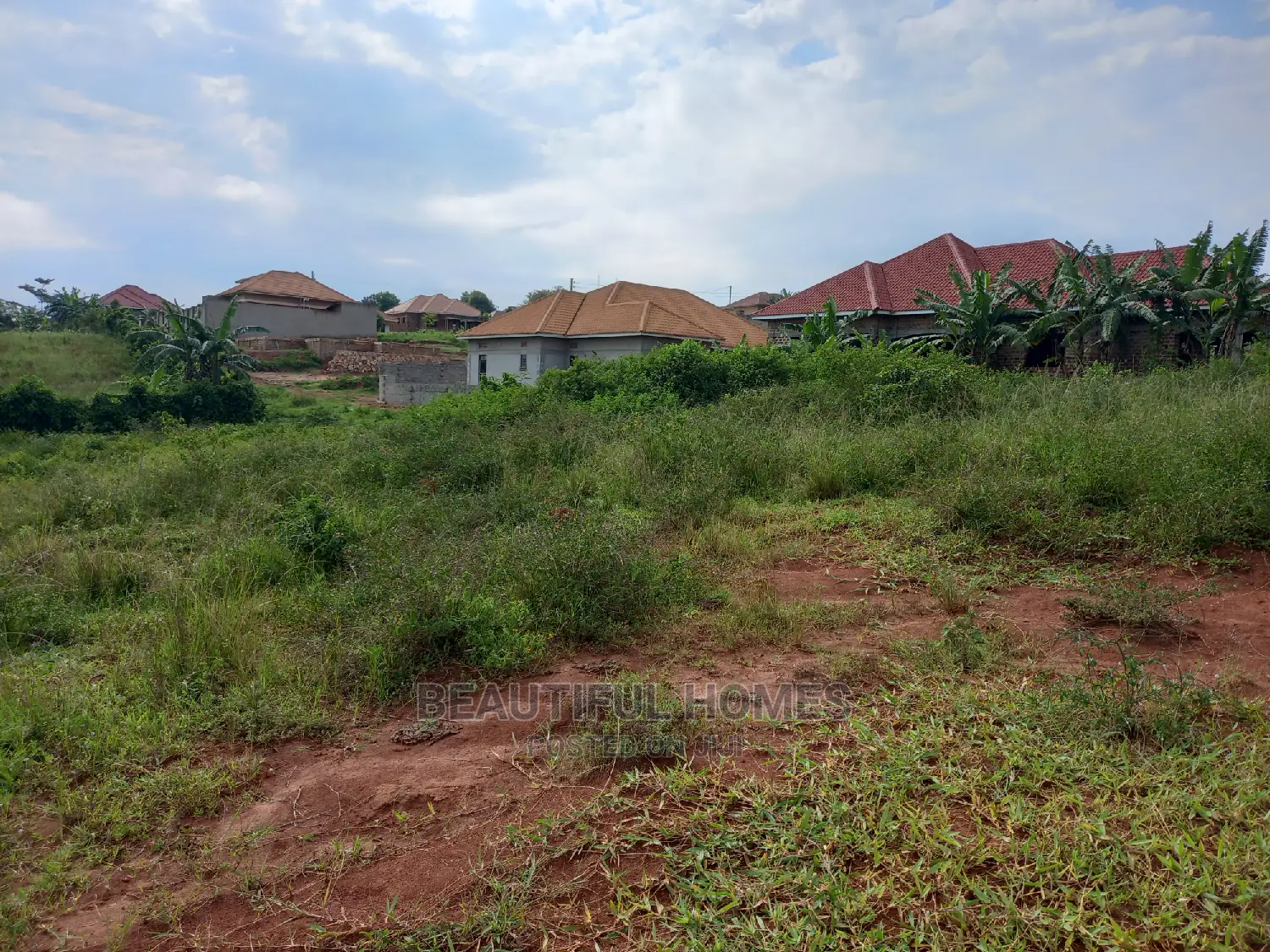 Kira Mailo Plot on Sell in Kira